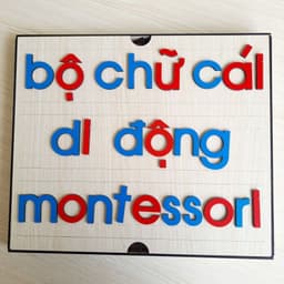 Bộ chữ cái di động chuẩn Montessori Tiếng Việt in thường 4