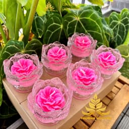 Hộp 6 Ly Nến Bơ Chum Hoa Sen, Nhiều Màu, An Toàn, Không Khói, Nến Bơ Thực Vật Cúng Dường,Thần Tài, Dâng Lễ Cháy 18h 2