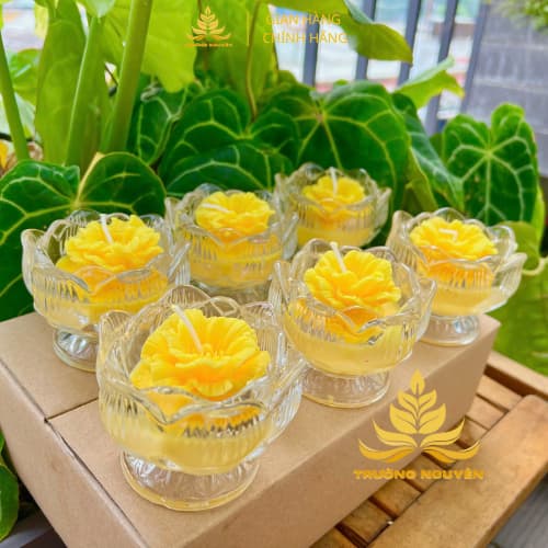 Hộp 6 Ly Nến Bơ Chum Hoa Sen, Nhiều Màu, An Toàn, Không Khói, Nến Bơ Thực Vật Cúng Dường,Thần Tài, Dâng Lễ Cháy 18h