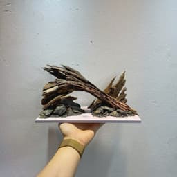 Layout Nature Ver.11 | Chế Tác Thủ Công Từ Gỗ Lũa Tự Nhiên An Toàn Cho Cá Tép | RF Aquarium 2