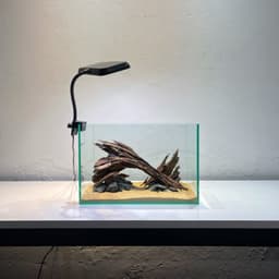 Layout Nature Ver.11 | Chế Tác Thủ Công Từ Gỗ Lũa Tự Nhiên An Toàn Cho Cá Tép | RF Aquarium 5