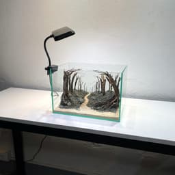 Layout Rừng Ver.15 | Chế Tác Từ Gỗ Lũa Tự Nhiên, Nhiều Kích Thước Cho Bể Từ 20-40cm | RF Aquarium 6