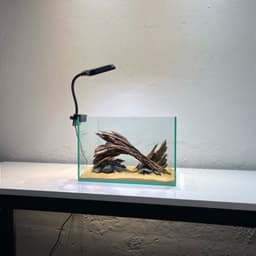 Layout Nature Ver.11 | Chế Tác Thủ Công Từ Gỗ Lũa Tự Nhiên An Toàn Cho Cá Tép | RF Aquarium 6