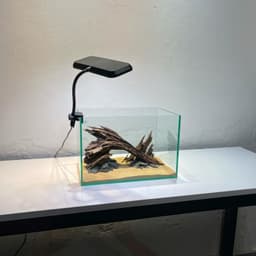 Layout Nature Ver.11 | Chế Tác Thủ Công Từ Gỗ Lũa Tự Nhiên An Toàn Cho Cá Tép | RF Aquarium 7