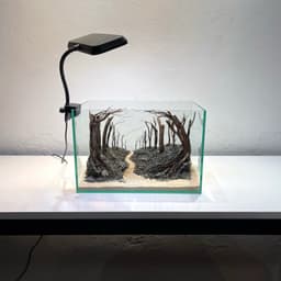 Layout Rừng Ver.15 | Chế Tác Từ Gỗ Lũa Tự Nhiên, Nhiều Kích Thước Cho Bể Từ 20-40cm | RF Aquarium 7