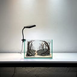 Layout Rừng Ver.15 | Chế Tác Từ Gỗ Lũa Tự Nhiên, Nhiều Kích Thước Cho Bể Từ 20-40cm | RF Aquarium 5