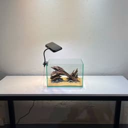 Layout Nature Ver.11 | Chế Tác Thủ Công Từ Gỗ Lũa Tự Nhiên An Toàn Cho Cá Tép | RF Aquarium 8