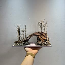Layout Thuỷ Sinh Cầu Vồng Ver.3 l Layout Trang Trí Bể Thủy Sinh Đa Dạng Kích Thước | RF Aquarium 2