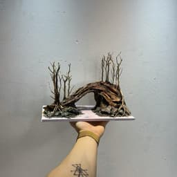 Layout Thuỷ Sinh Cầu Vồng Ver.3 l Layout Trang Trí Bể Thủy Sinh Đa Dạng Kích Thước | RF Aquarium 3