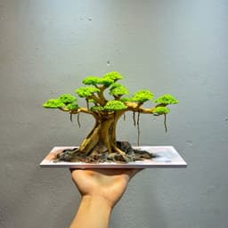 Layout Bonsai Ver.6 Gắn Sẵn Tán | Layout Thuỷ Sinh Cao Cấp Được Chế Tác Thủ Công | RF Aquarium 2
