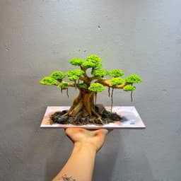 Layout Bonsai Ver.6 Gắn Sẵn Tán | Layout Thuỷ Sinh Cao Cấp Được Chế Tác Thủ Công | RF Aquarium 5