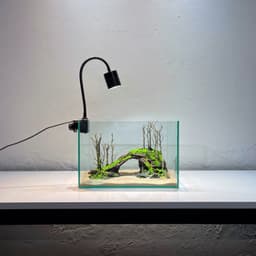 Layout Thuỷ Sinh Cầu Vồng Ver.3 l Layout Trang Trí Bể Thủy Sinh Đa Dạng Kích Thước | RF Aquarium 6