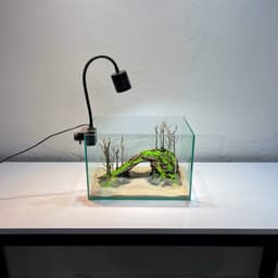 Layout Thuỷ Sinh Cầu Vồng Ver.3 l Layout Trang Trí Bể Thủy Sinh Đa Dạng Kích Thước | RF Aquarium 8