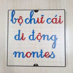 Giáo cụ chuẩn Montessori viết thường giúp bé học Tiếng Việt 8