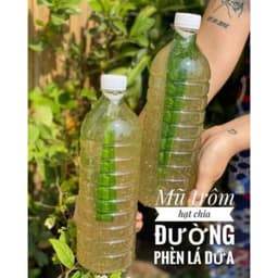 1Kg Hạt Chia Úc Chất Lượng Absolute Chuẩn Organic Loại 1 Sạch Đều Đẹp Ăn Kiêng ( Nấu chè/Trà thanh nhiệt/Nước chan 5