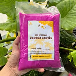 1Kg Sáp Bơ Làm Nến Hoa Pha Sẵn Trường Nguyên Organic, Công Thức Độc Quyền,, Dễ Làm, Làm Các Loại Hoa Từ Khuôn Silicon 4