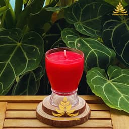 Nến Bơ Trường Organic Ly T19 100ml Cháy 18h,  Nến Cúng, Nến Bàn Thờ, Nến Cúng Dường, Nến Sắp Lễ 4