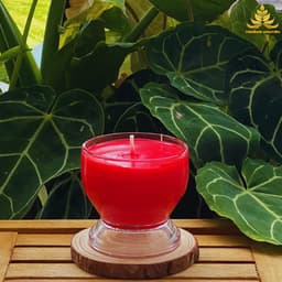 Nến Bơ Trường Organic Ly N03T 150ml Cháy 27h, Nến Cúng, Nến Bàn Thờ, Nến Cúng Dường, Nến Sắp Lễ 2