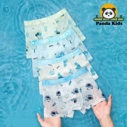 Combo 4 quần chíp đùi dạng lưới họa tiết Khủng Long dễ thương quần lót bé trai thoáng khí chất thun lạnh  Cherikids 2