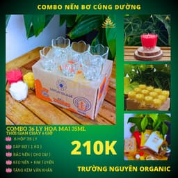 Combo Làm  36  Ly Hoa Mai 35ml + 1kg Sáp Bơ, Tặng Tim Đèn, Keo Nến, Văn Khấn - Nguyên Liệu Làm Nến Bơ Cúng Dường 1
