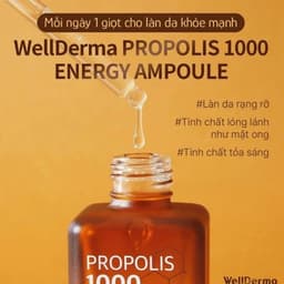 Tinh Chất Keo Ong Wellderma Propolis 1000 Energy Ampoule Hàn Quốc Cải Thiện Nếp Nhăn Lọ 50ml 8