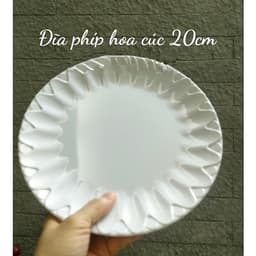 Đĩa nhựa phíp hoa cúc 20cm-23cm-25cm 2