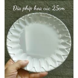Đĩa nhựa phíp hoa cúc 20cm-23cm-25cm 4