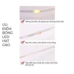 Dây Đèn Led Hạt Gạo 20 Mét Chống Nước IP65 Nhiều Chế Độ Nháy Trang Trí Noel Tết 9
