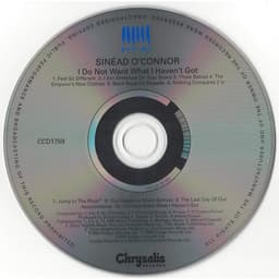 Music album Sinéad O'Connor – I Do Not Want What I Haven't Got (đã qua sử dụng) 2