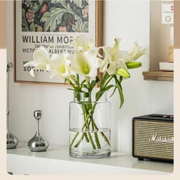 Bình hoa thủy tinh cơ bản trang trí nhà cửa và decor phòng khách sang trọng BT030 8