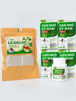 Gan Nhó Kỳ Nam Chính Hãng [LIỆU TRÌNH 1 THÁNG 4 HỘP] + tặng 1 trà cà gai leo 5