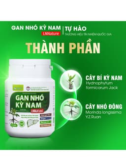Gan Nhó Kỳ Nam Chính Hãng [LIỆU TRÌNH 2 THÁNG - 8 HỘP] 3