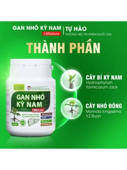 Gan Nhó Kỳ Nam Chính Hãng [LIỆU TRÌNH 3 THÁNG 12 HỘP] 3