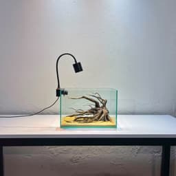 Layout Thuỷ Sinh Phong Cách Nature Ver.4 | Chế Tác Từ Gỗ Lũa Tự Nhiên | Phù Hợp Bể Biotop | RF Aquarium 5