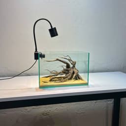 Layout Thuỷ Sinh Phong Cách Nature Ver.4 | Chế Tác Từ Gỗ Lũa Tự Nhiên | Phù Hợp Bể Biotop | RF Aquarium 4