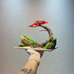 Layout Thuỷ Sinh Bonsai Ver.3 Tán Đỏ Nổi Bật | Hợp Với Người Mệnh Hoả Muốn Chơi Thuỷ Sinh | RF Aquarium 4