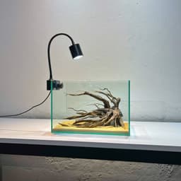 Layout Thuỷ Sinh Phong Cách Nature Ver.4 | Chế Tác Từ Gỗ Lũa Tự Nhiên | Phù Hợp Bể Biotop | RF Aquarium 3