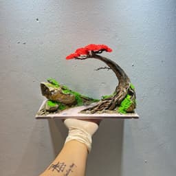 Layout Thuỷ Sinh Bonsai Ver.3 Tán Đỏ Nổi Bật | Hợp Với Người Mệnh Hoả Muốn Chơi Thuỷ Sinh | RF Aquarium 7