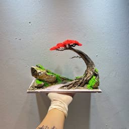 Layout Thuỷ Sinh Bonsai Ver.3 Tán Đỏ Nổi Bật | Hợp Với Người Mệnh Hoả Muốn Chơi Thuỷ Sinh | RF Aquarium 6
