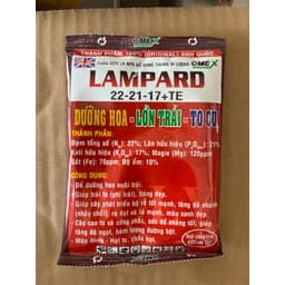 Dưỡng Hoa, Lớn trái Lampard 40gr Boly 1