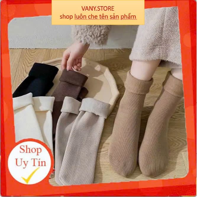 Set 5 Đôi Tất Vớ Cotton Lót Lông Nỉ Giữ Nhiệt Cao Cổ Siêu Ấm Màu Pastel Cho Nữ TA44