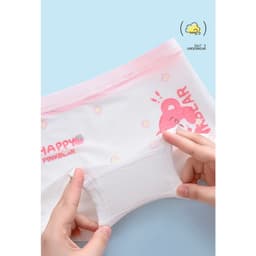 Combo 4 quần chíp đùi GẤU DÂU chất mát lạnh DẠNG LƯỚI cho bé gái dễ thương, quần lót tam giác cotton thoáng mát co giãn 9