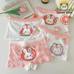 Combo 4 quần chíp đùi cho bé gái họa tiết Thỏ cá vàng, quần lót tam giác cotton thoáng mát co giãn Cherikids 9