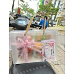 COMBO 5 CÁI - Túi nhựa, túi mica mờ đựng quà tặng 4