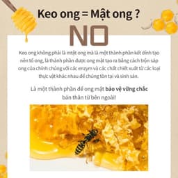 Tinh Chất Keo Ong Wellderma Propolis 1000 Energy Ampoule Hàn Quốc Cải Thiện Nếp Nhăn Lọ 50ml 5