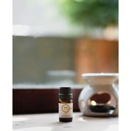 Đèn Xông Tinh Dầu Gốm Sứ Tráng Men Bát Tràng, Đèn Đốt Tinh Dầu Bằng Nến Tealight 7