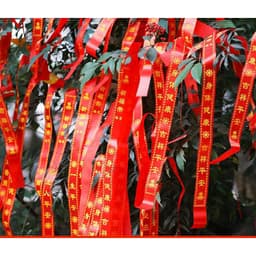 Xấp thẻ giấy đỏ chữ thư pháp MAY MẮN TÀI LỘC decor cành khô, treo trang trí ĐÀO MAI 8
