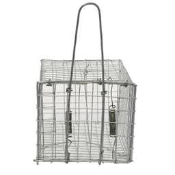 Bẫy Chuột Đồng Kích Thước 17x9x8cm - Lồng Bắt Chuột Kích Thướt nhỏ 6