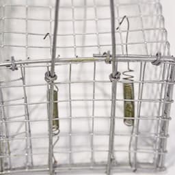 Bẫy Chuột Đồng Kích Thước 17x9x8cm - Lồng Bắt Chuột Kích Thướt nhỏ 4