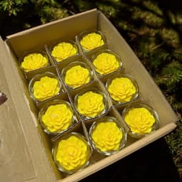 Hộp 12 Ly Nến Hoa Đào T01, Nến Bơ Dâng Phật Cúng Mụ Cúng Dường An Toàn Không Khói 2
